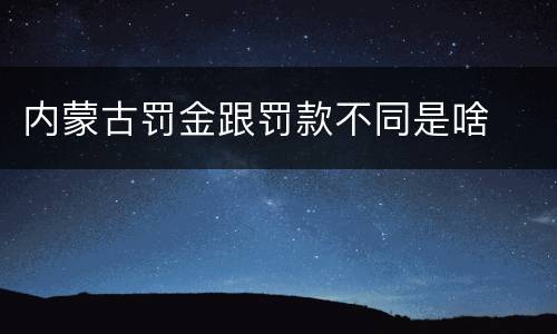 内蒙古罚金跟罚款不同是啥