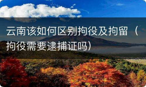 云南该如何区别拘役及拘留（拘役需要逮捕证吗）
