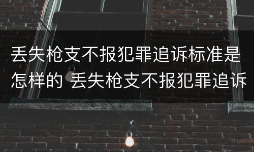 丢失枪支不报犯罪追诉标准是怎样的 丢失枪支不报犯罪追诉标准是怎样的呢