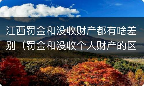 江西罚金和没收财产都有啥差别（罚金和没收个人财产的区别）