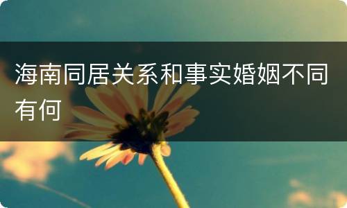 海南同居关系和事实婚姻不同有何