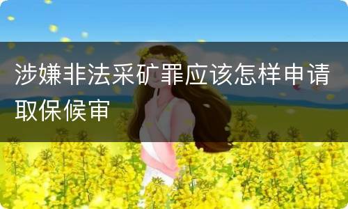 涉嫌非法采矿罪应该怎样申请取保候审