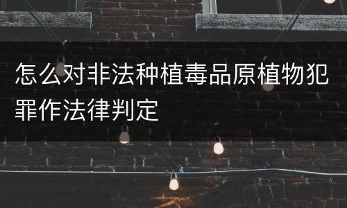 怎么对非法种植毒品原植物犯罪作法律判定