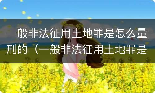 一般非法征用土地罪是怎么量刑的（一般非法征用土地罪是怎么量刑的呢）