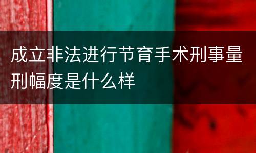 成立非法进行节育手术刑事量刑幅度是什么样