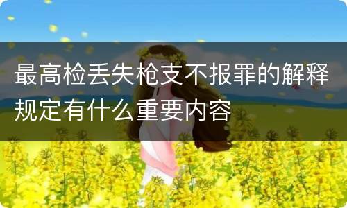 最高检丢失枪支不报罪的解释规定有什么重要内容