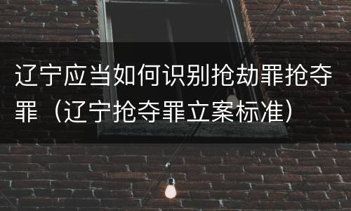 辽宁应当如何识别抢劫罪抢夺罪（辽宁抢夺罪立案标准）
