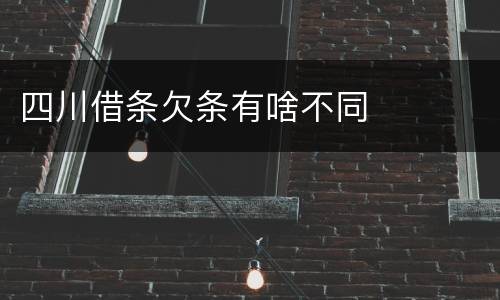 四川借条欠条有啥不同