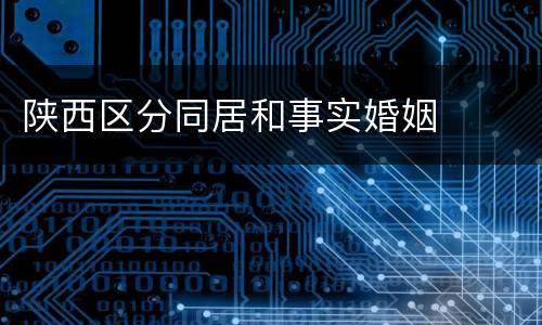 陕西区分同居和事实婚姻