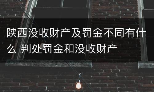 陕西没收财产及罚金不同有什么 判处罚金和没收财产