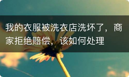 我的衣服被洗衣店洗坏了，商家拒绝赔偿，该如何处理