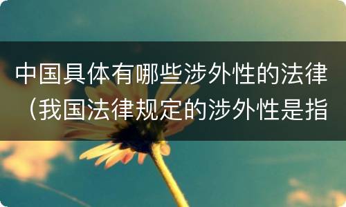 中国具体有哪些涉外性的法律（我国法律规定的涉外性是指）