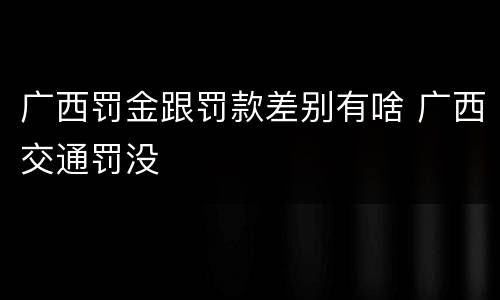 广西罚金跟罚款差别有啥 广西交通罚没