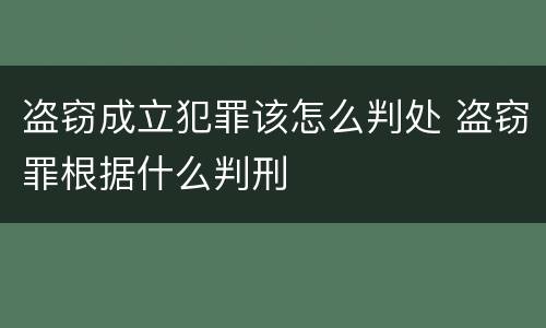 盗窃成立犯罪该怎么判处 盗窃罪根据什么判刑