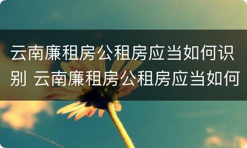云南廉租房公租房应当如何识别 云南廉租房公租房应当如何识别房产证