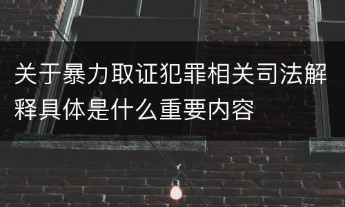 关于暴力取证犯罪相关司法解释具体是什么重要内容