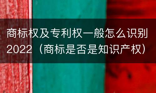 商标权及专利权一般怎么识别2022（商标是否是知识产权）