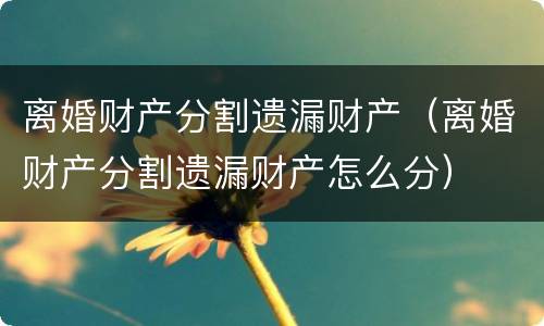 离婚财产分割遗漏财产（离婚财产分割遗漏财产怎么分）