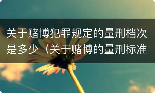 关于赌博犯罪规定的量刑档次是多少（关于赌博的量刑标准）