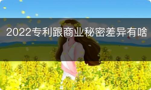 2022专利跟商业秘密差异有啥