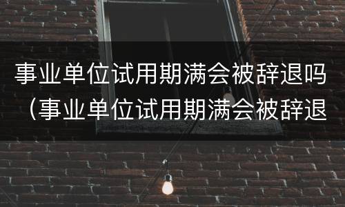 事业单位试用期满会被辞退吗（事业单位试用期满会被辞退吗怎么办）