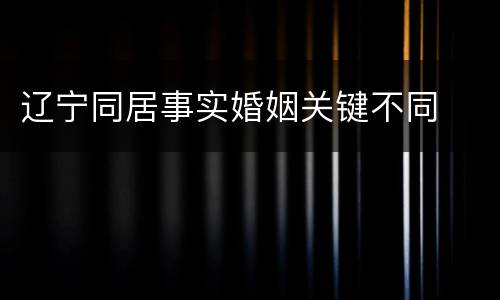 辽宁同居事实婚姻关键不同