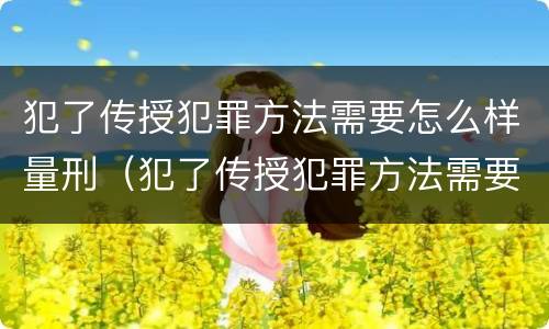 犯了传授犯罪方法需要怎么样量刑（犯了传授犯罪方法需要怎么样量刑呢）