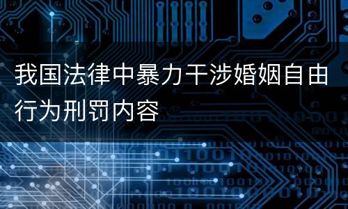 我国法律中暴力干涉婚姻自由行为刑罚内容