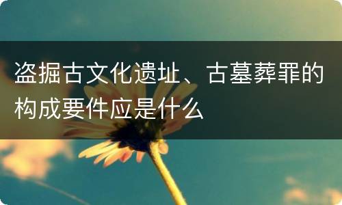 盗掘古文化遗址、古墓葬罪的构成要件应是什么