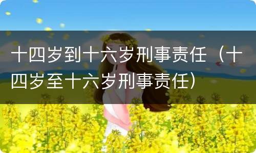 十四岁到十六岁刑事责任（十四岁至十六岁刑事责任）