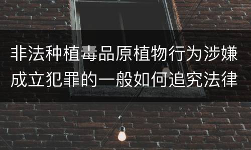 非法种植毒品原植物行为涉嫌成立犯罪的一般如何追究法律责任