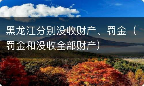 黑龙江分别没收财产、罚金（罚金和没收全部财产）