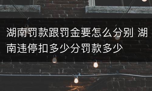 湖南罚款跟罚金要怎么分别 湖南违停扣多少分罚款多少
