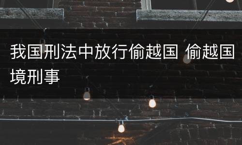 我国刑法中放行偷越国 偷越国境刑事