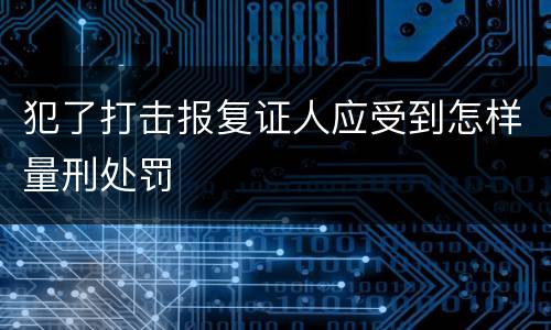 犯了打击报复证人应受到怎样量刑处罚