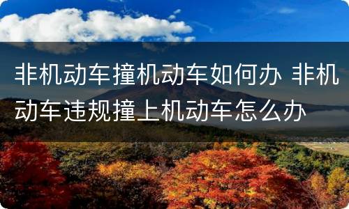 非机动车撞机动车如何办 非机动车违规撞上机动车怎么办