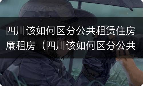 四川该如何区分公共租赁住房廉租房（四川该如何区分公共租赁住房廉租房和民宿）