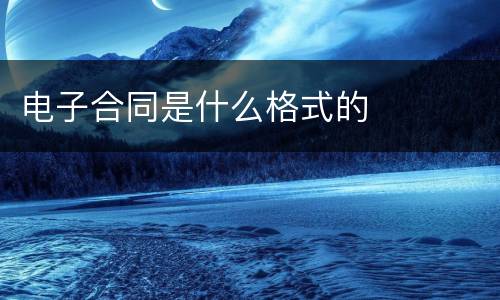 电子合同是什么格式的