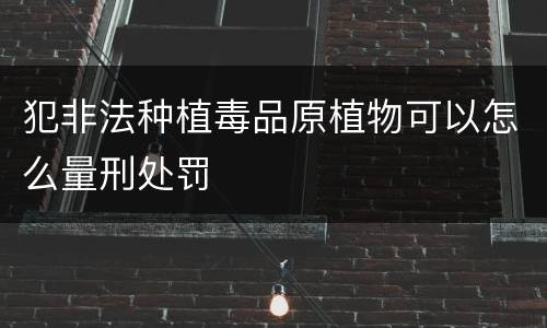犯非法种植毒品原植物可以怎么量刑处罚