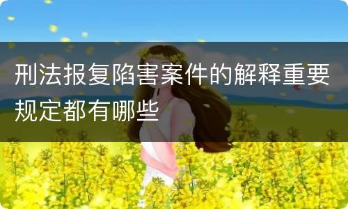 刑法报复陷害案件的解释重要规定都有哪些