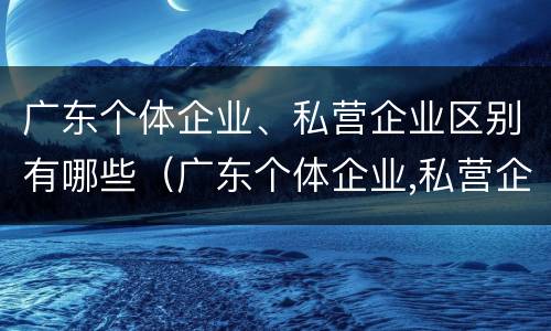 广东个体企业、私营企业区别有哪些（广东个体企业,私营企业区别有哪些方面）
