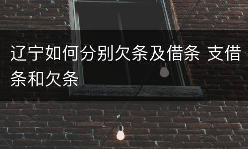 辽宁如何分别欠条及借条 支借条和欠条