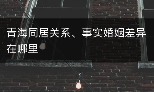 青海同居关系、事实婚姻差异在哪里