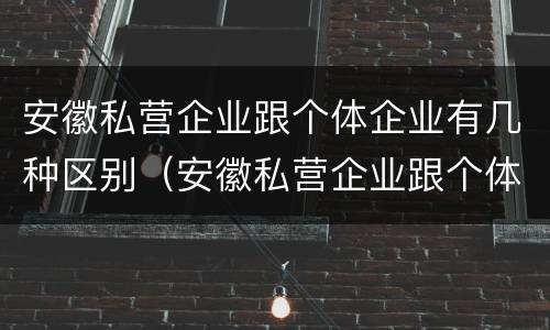 安徽私营企业跟个体企业有几种区别（安徽私营企业跟个体企业有几种区别在哪）