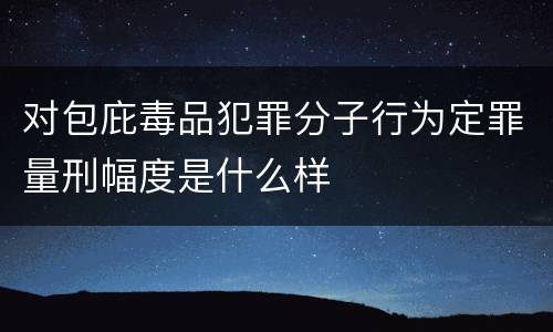 对包庇毒品犯罪分子行为定罪量刑幅度是什么样