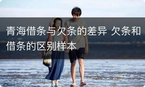 青海借条与欠条的差异 欠条和借条的区别样本