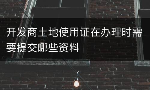 开发商土地使用证在办理时需要提交哪些资料