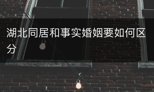 湖北同居和事实婚姻要如何区分