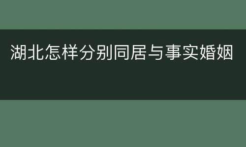 湖北怎样分别同居与事实婚姻