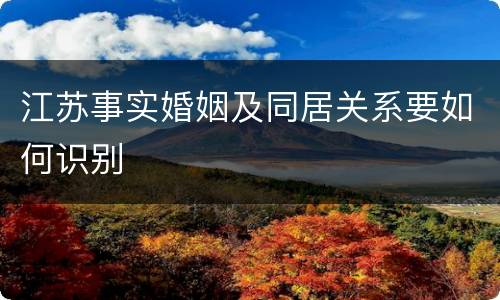 江苏事实婚姻及同居关系要如何识别